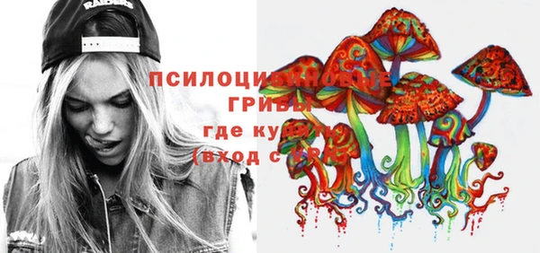 прущая мука Магас